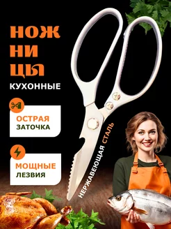 Кухонные ножницы