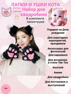 Лапки и ушки кошки