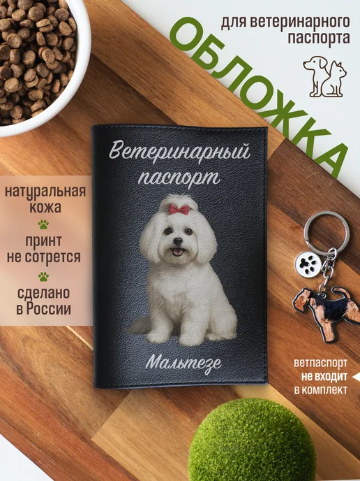 Russian.Handmade Обложка на ветеринарный паспорт с принтом Мальтезе, черный