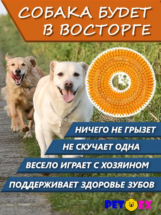 Pet-Ex Кольцо для собак с пищалкой и шипами 13 см, вариант, фото 4