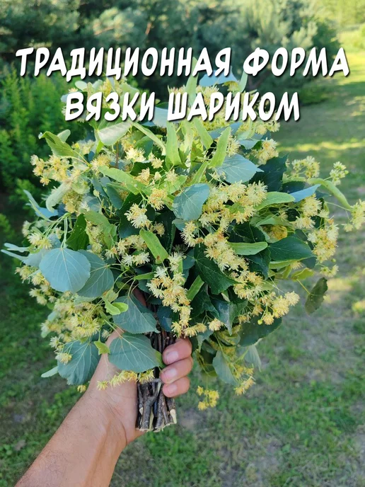 из Пущи Липовый веник в цвете для бани и сауны 2 шт, 2 шт, фото 4