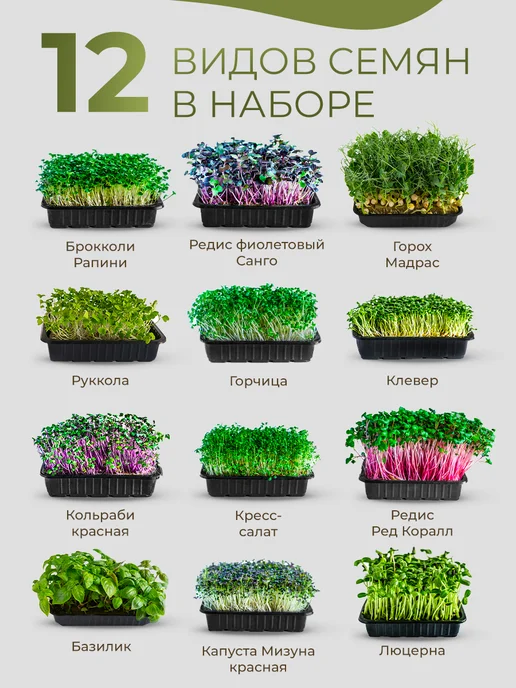 ZELINO Микрозелень набор семян для выращивания, вариант, фото 2