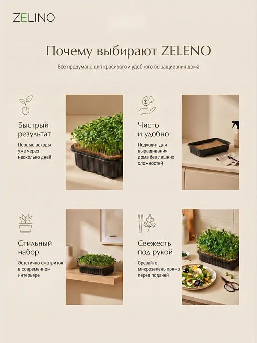 ZELINO Микрозелень набор семян для выращивания, вариант, фото 3