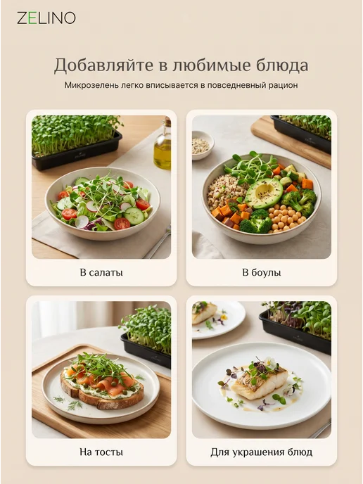 ZELINO Микрозелень набор семян для выращивания, вариант, фото 4