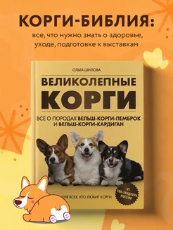 Великолепные корги