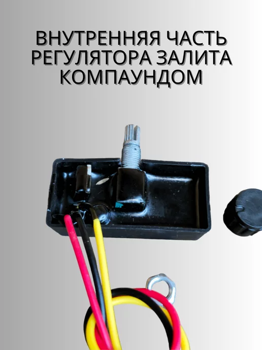Винокур 96 Регулятор оборотов для водяных насосов и опрыскивателей 12В, вариант, фото 4