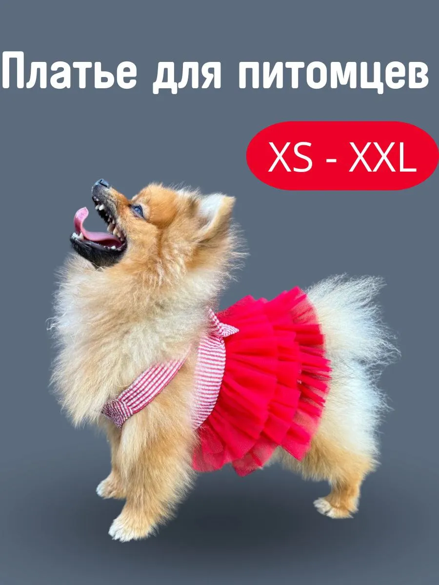 Платье для собак и кошек