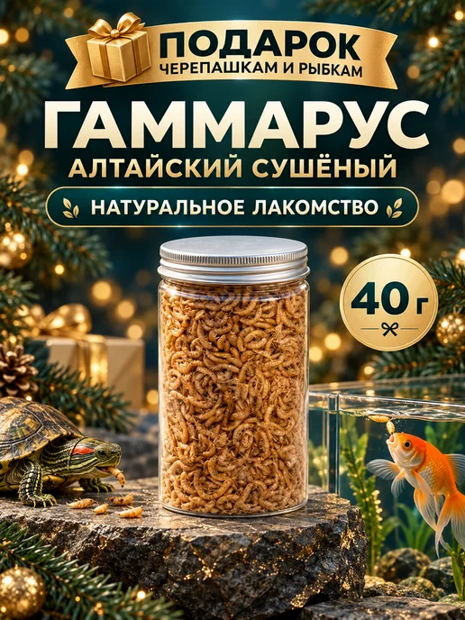 Хитрый крыс Гаммарус крупный алтайский для рыб черепах птиц 40 гр, 40 г, фото 7
