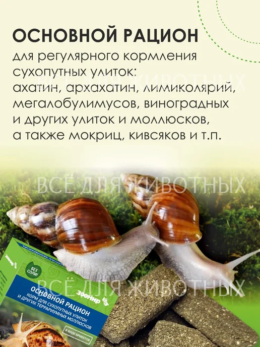 Зоомир Корм для улиток и моллюсков, 35 г, 35 г, фото 2