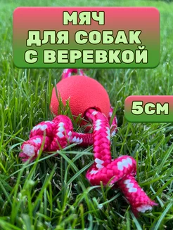 Игрушка мяч для собаки жесткий