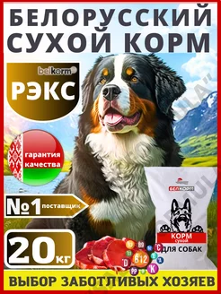 Корм для собак сухой для крупных пород 20 кг Рэкс Belkorm 241175613 купить за 2 351 ₽ в интернет-магазине Wildberries