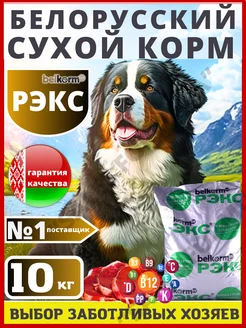 Корм для собак сухой для крупных пород 10 кг Рэкс Belkorm 241176396 купить за 1 529 ₽ в интернет-магазине Wildberries