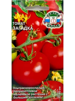 Томат Загадка СеДеК 241327589 купить за 141 ₽ в интернет-магазине Wildberries