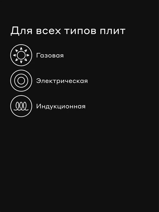 Pragma Кастрюля литая PT-I-PR-4, индукция, 4 л, 4 л, фото 2