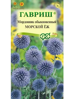 *Мордовник Морской еж Гавриш 241358029 купить за 98 ₽ в интернет-магазине Wildberries