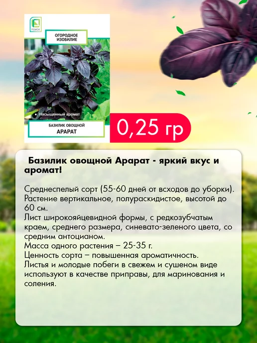 Агрохолдинг ПОИСК Семена зелени для города и подоконника 12 шт, 12 шт, фото 2