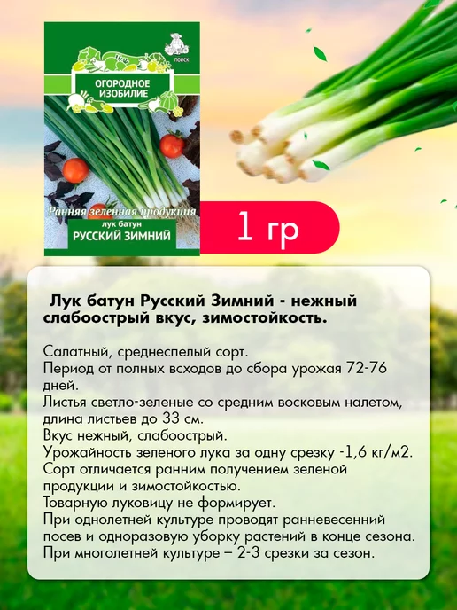 Агрохолдинг ПОИСК Семена зелени для города и подоконника 12 шт, 12 шт, фото 3