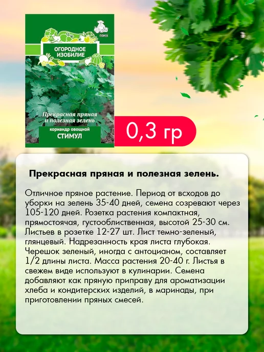 Агрохолдинг ПОИСК Семена зелени для города и подоконника 12 шт, 12 шт, фото 4