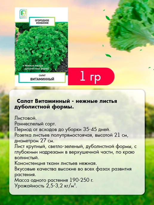 Агрохолдинг ПОИСК Семена зелени для города и подоконника 12 шт, 12 шт, фото 7