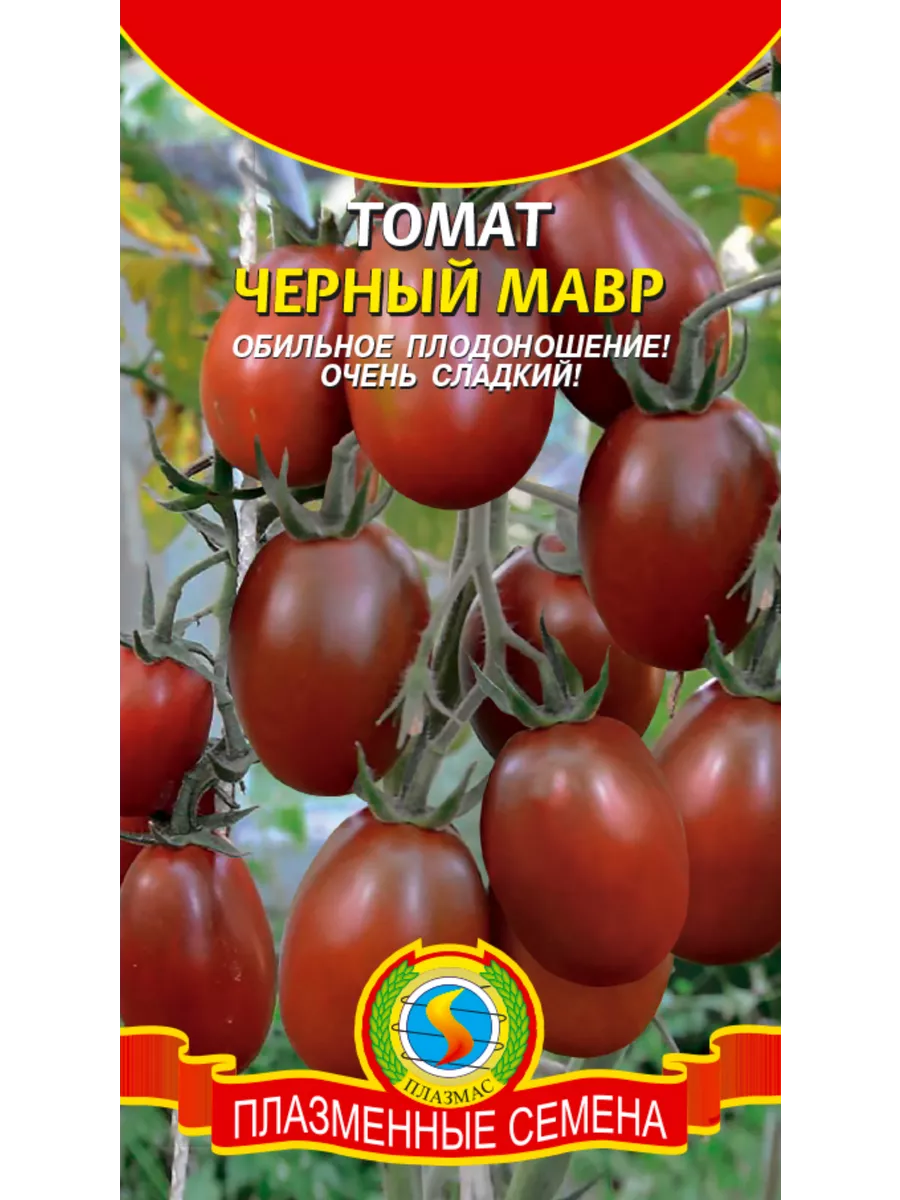 Сорта томатов черный мавр. Семена томат черный мавр. сорт томатов черный мавр. черный мавр черри. томат черный мавр гавриш.
