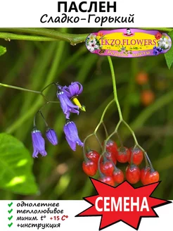 Семена Паслен Сладко-Горький 5шт EKZO.FLOWERS 241381071 купить за 257 ₽ в интернет-магазине Wildberries