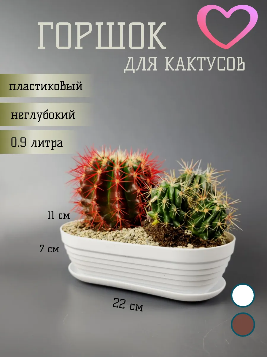 Горшок для кактуса 0,9 л 22х11 см с поддоном