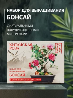 Бонсай набор для выращивания Китайская роза для дома Фудзи сад 241400600 купить за 891 ₽ в интернет-магазине Wildberries