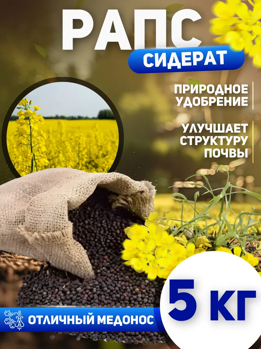 Рапс сидерат семена 5 кг