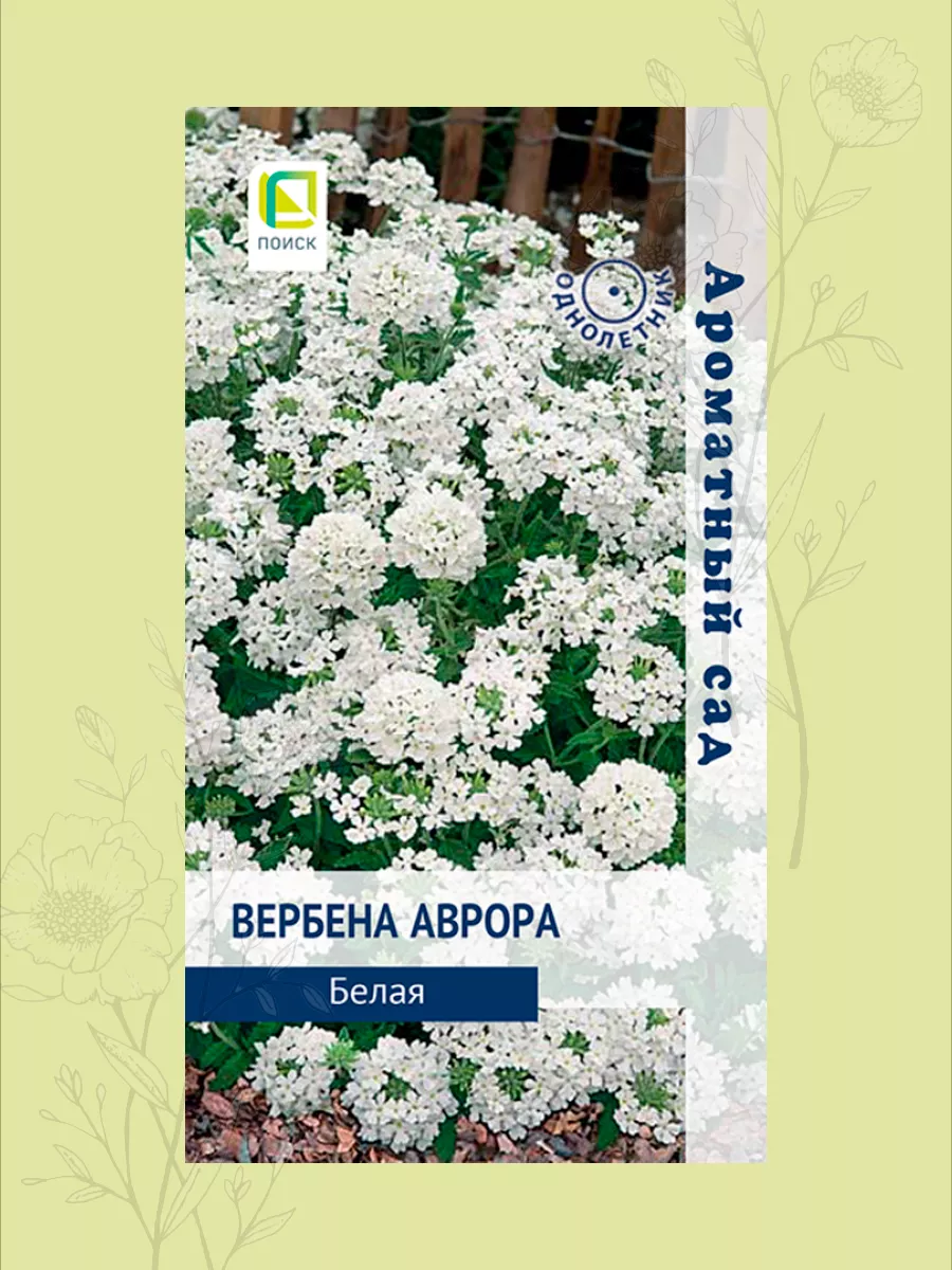 Купить Семена Вербены Бонарской В Интернет Магазине