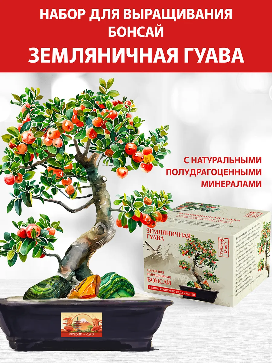 Набор для выращивания растений Бонсай Гуава земляничная