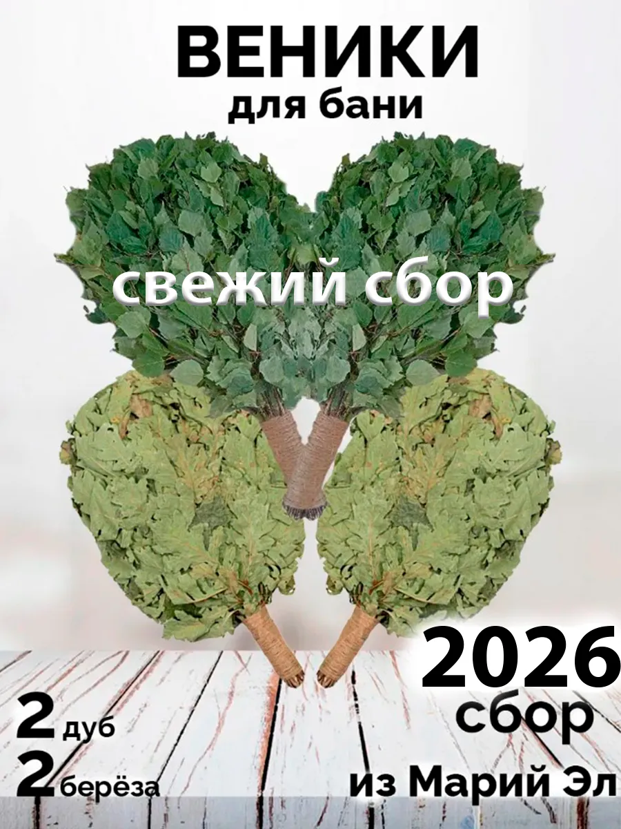 Веники для бани 2 берёзовых и 2 дубовый сбор 2026