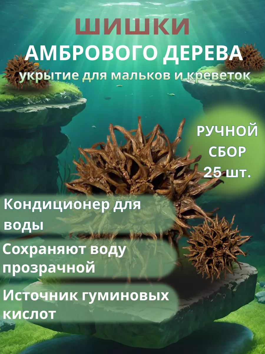 Шишки Амбрового дерева 25 штук