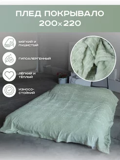 Плед 200х220 на диван, кровать пушистый мягкий евро, велсофт NM Store 241607466 купить за 680 ₽ в интернет-магазине Wildberries