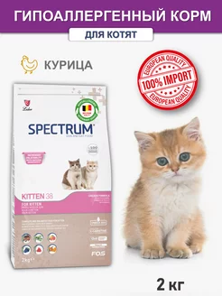 Корм для котят сухой холистик 2 кг