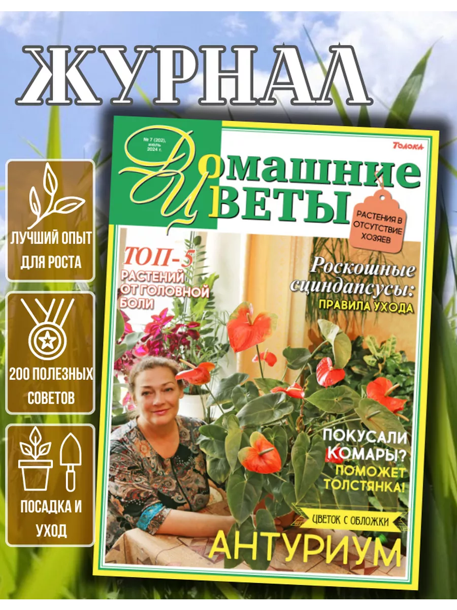 журнал. Комнатные растения. №7/24. Антуриум:правила ухода.