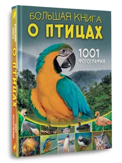 Большая книга о птицах. 1001 фотография