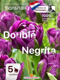 Тюльпаны луковицы для посадки крупный Double Negrita