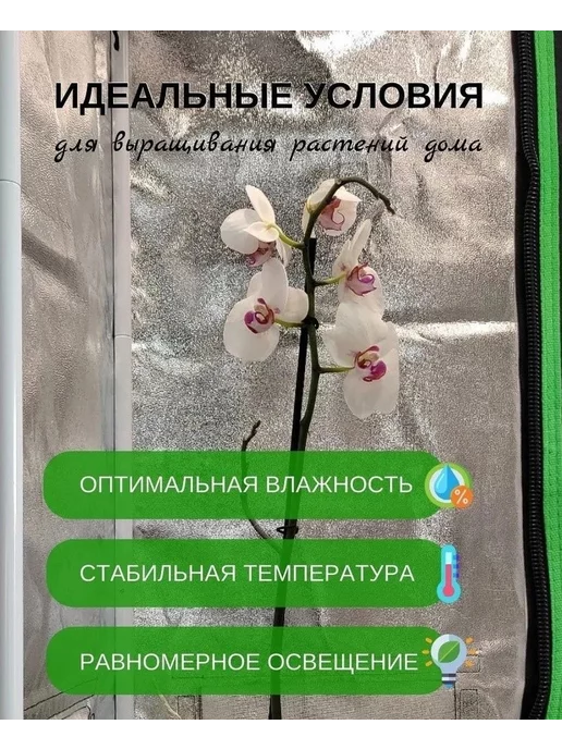 Siberian Garden Гроубокс Growbox (гроутент) 120*80*200 см, 120x80, фото 3