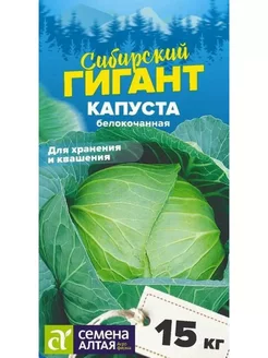 Капуста Сибирский Гигант (0,5г) Семена Алтая 241888013 купить за 94 ₽ в интернет-магазине Wildberries