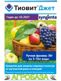 Тиовит Джет для защиты от болезней и клещей 30г АгроБаза 241905160 купить за 209 ₽ в интернет-магазине Wildberries