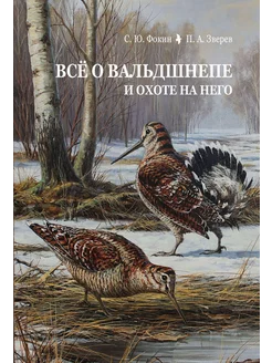 Всё о вальдшнепе и охоте на него