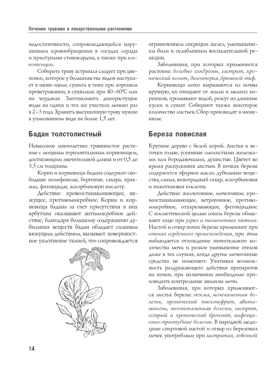 голые 12 летние 