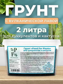 Грунт для суккулентов и кактусов