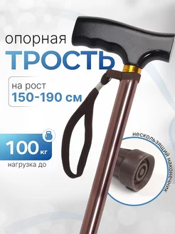 Трость опорная для ходьбы Ergoforce 242007681 купить за 552 ₽ в интернет-магазине Wildberries