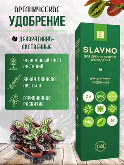 Удобрение подкормка для декоративно-лиственных SLAVNO 242032394 купить за 526 ₽ в интернет-магазине Wildberries