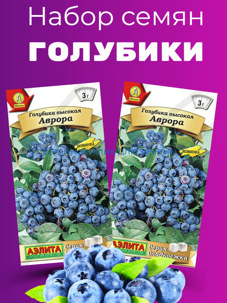 Семена Голубика высокая Аврора 2 шт Агрофирма Аэлита 242137752 купить за 144 ₽ в интернет-магазине Wildberries