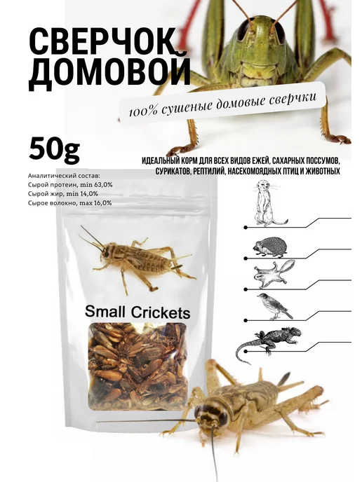 EnigmaAnimals Сверчок сушеный, отборный 50г, фасовка, развес, 50 г