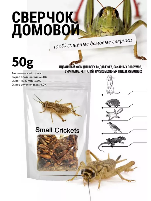 ZooAqua Сверчок сушеный, отборный 50г, фасовка, развес, 50 г