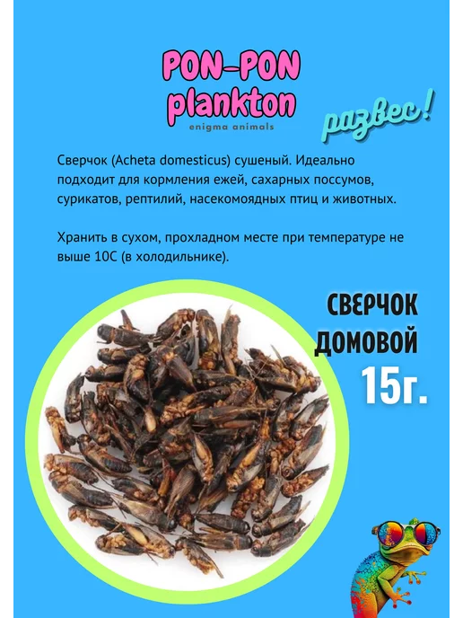 TETRA Сверчок сушеный, (саранча, кузнечик) дой-пак 15 гр, 15 г, фото 2