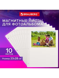 Листы для фотоальбома магнитные, 23х28 см, комплект 10 шт Brauberg 242164417 купить за 296 ₽ в интернет-магазине Wildberries